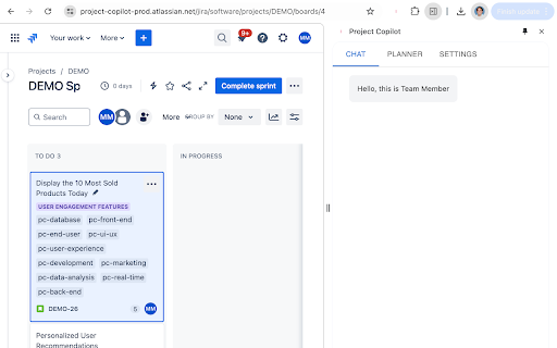Project Copilot Team Member - Chrome Extension